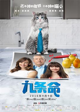 一级特级黄色片