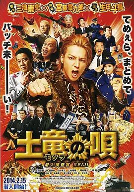 爱情岛成人
