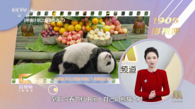 男生女生一起差差差带疼痛的声音下载